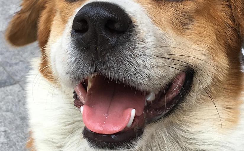 kissing and biting, what's the diff