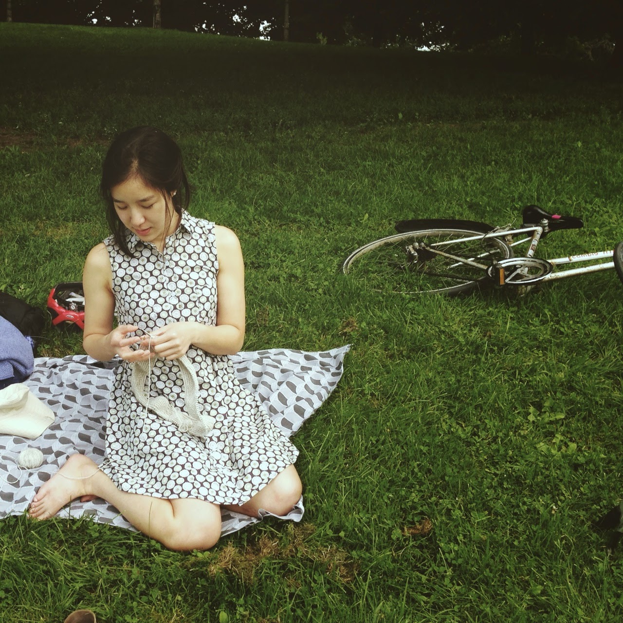 alder shirtdress view b